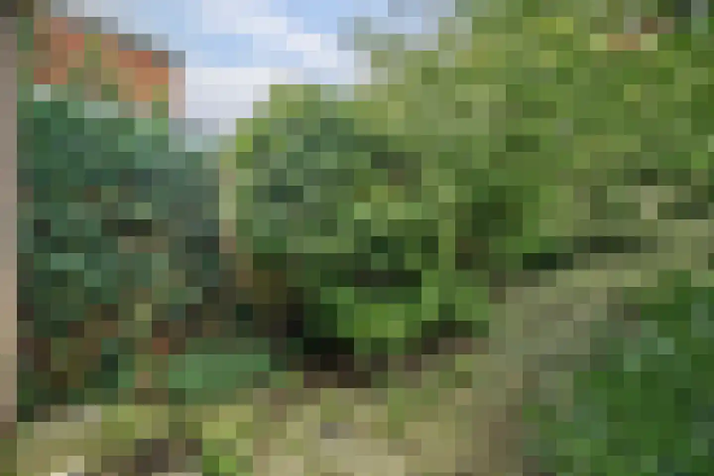 Nieuwe Vlissingseweg 164 Middelburg thumbnail 34