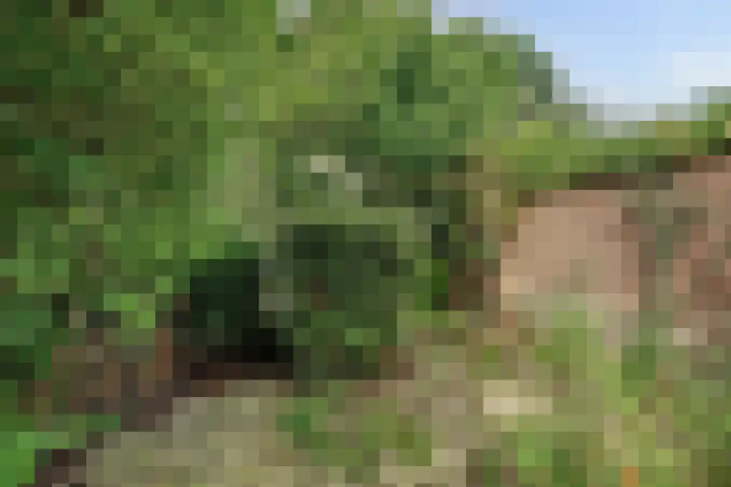 Nieuwe Vlissingseweg 164 Middelburg thumbnail 35