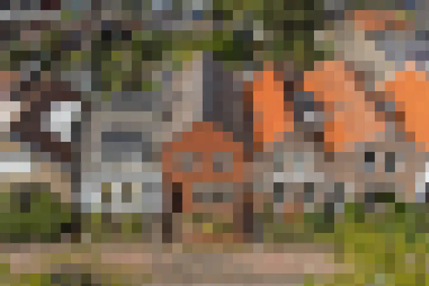Nieuwe Vlissingseweg 164 Middelburg thumbnail 38