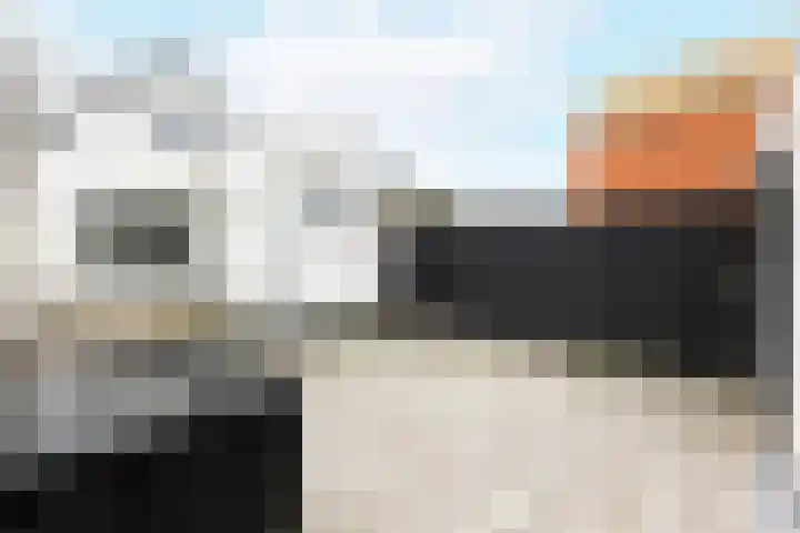 Nieuwe Vlissingseweg 178 Middelburg thumbnail 21