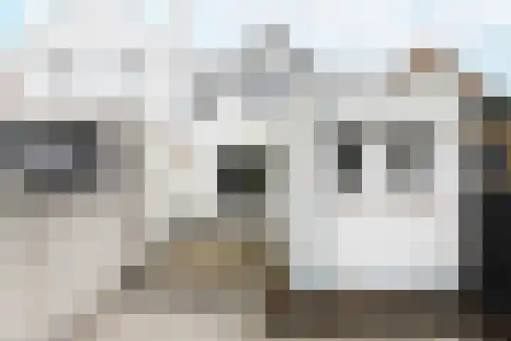 Nieuwe Vlissingseweg 178 Middelburg thumbnail 22