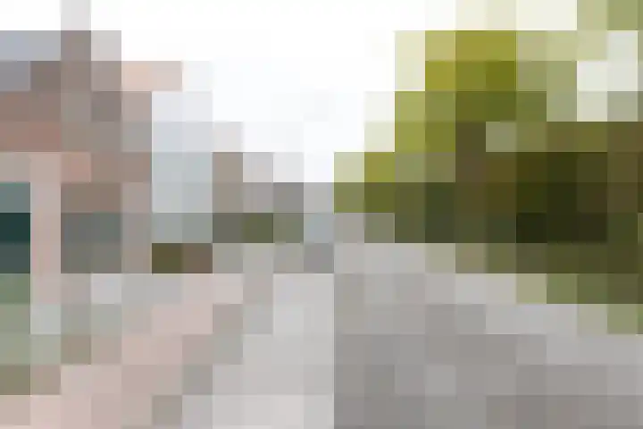 Nieuwe Vlissingseweg 178 Middelburg thumbnail 5