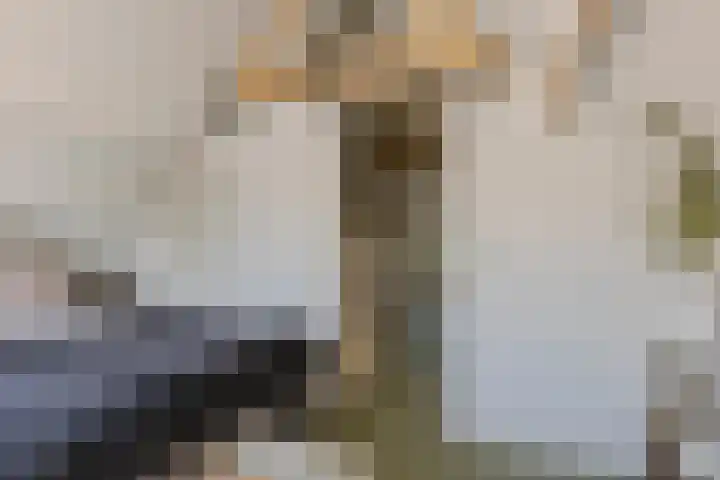 Nieuwe Vlissingseweg 196 Middelburg thumbnail 17