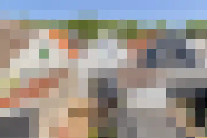 Nieuwe Vlissingseweg 196 Middelburg thumbnail 21