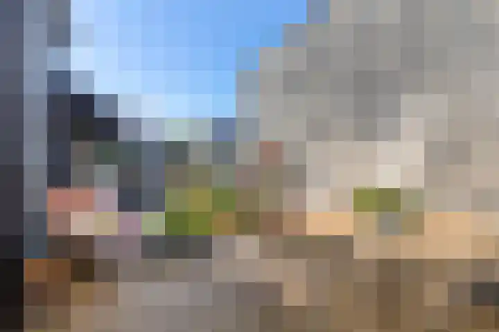 Nieuwe Vlissingseweg 196 Middelburg thumbnail 22
