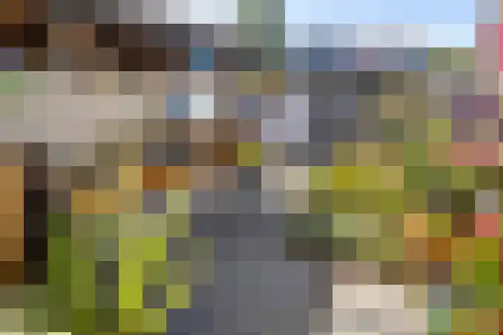 Nieuwe Vlissingseweg 196 Middelburg thumbnail 23