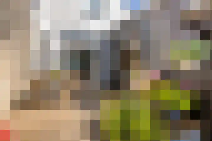 Nieuwe Vlissingseweg 196 Middelburg thumbnail 25