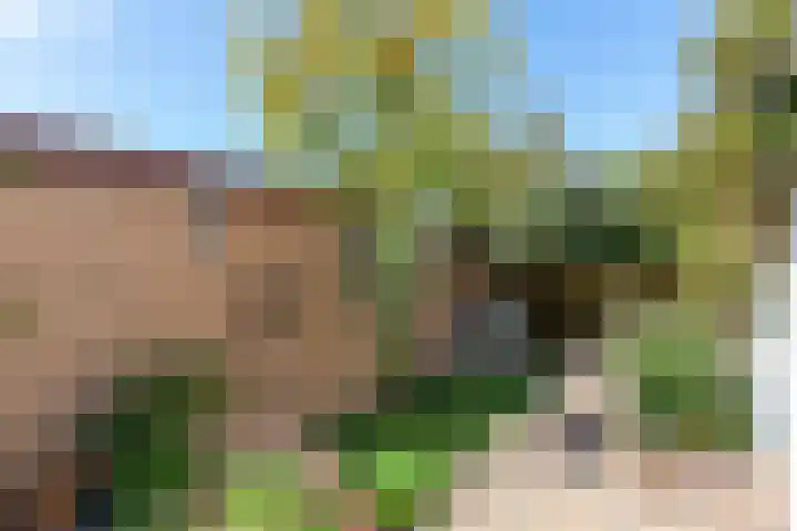 Nieuwe Vlissingseweg 208 Middelburg thumbnail 28