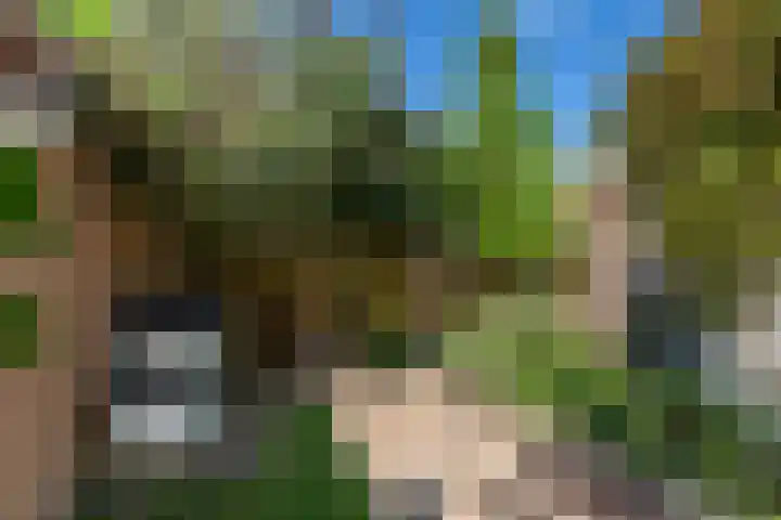 Nieuwe Vlissingseweg 208 Middelburg thumbnail 29