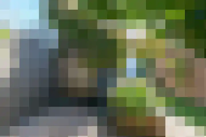 Nieuwe Vlissingseweg 208 Middelburg thumbnail 30