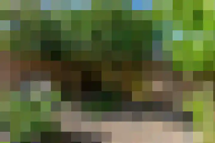Nieuwe Vlissingseweg 208 Middelburg thumbnail 31