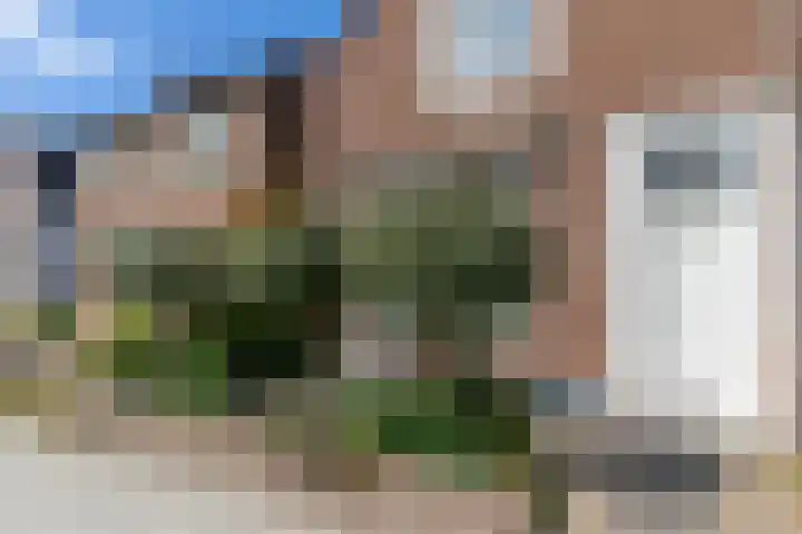 Nieuwe Vlissingseweg 208 Middelburg thumbnail 33