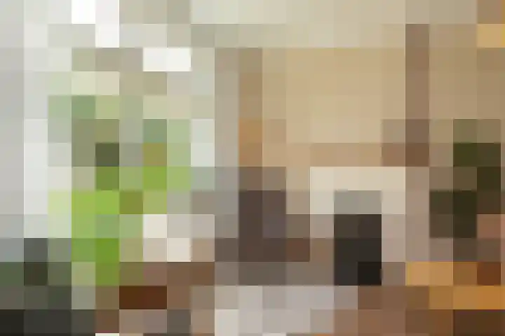 Nieuwe Vlissingseweg 208 Middelburg thumbnail 5