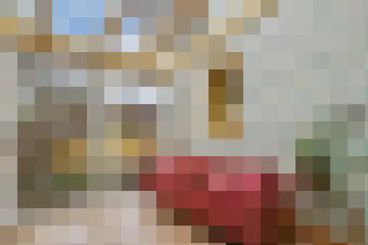 Nieuwe Vlissingseweg 298 Middelburg thumbnail 16