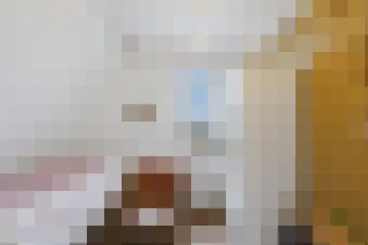 Nieuwe Vlissingseweg 298 Middelburg thumbnail 29