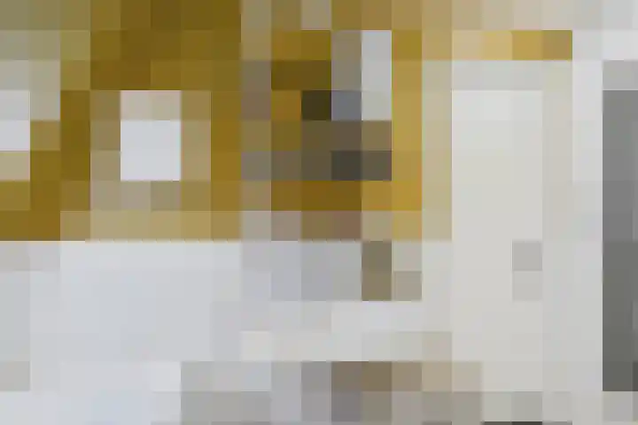 Nieuwe Vlissingseweg 298 Middelburg thumbnail 31
