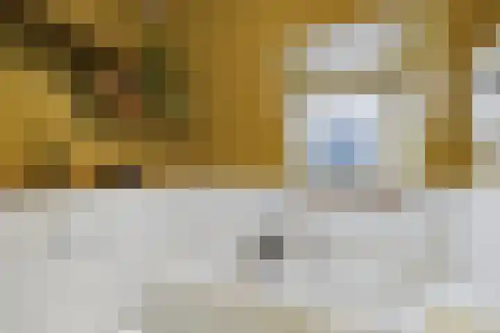 Nieuwe Vlissingseweg 298 Middelburg thumbnail 33
