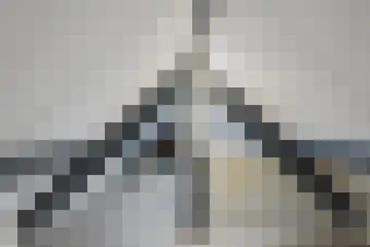 Nieuwe Vlissingseweg 298 Middelburg thumbnail 38