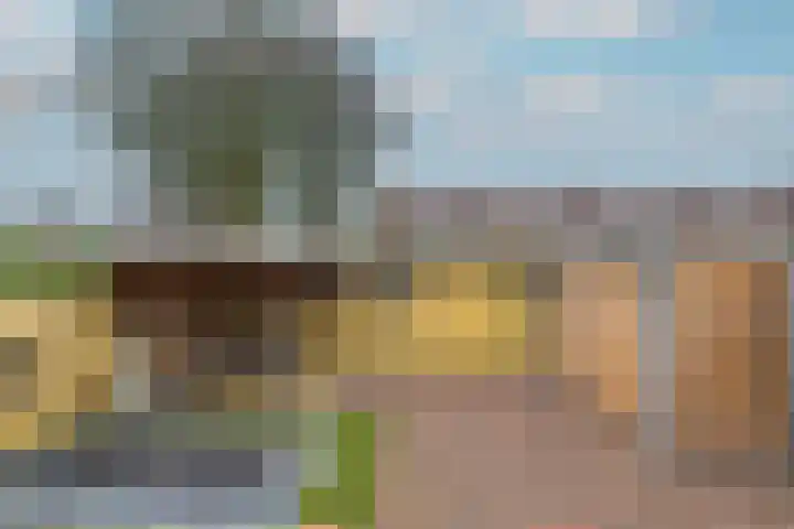 Nieuwe Vlissingseweg 298 Middelburg thumbnail 42