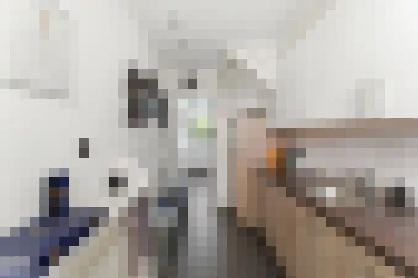 Nieuwe Vlissingseweg 310 Middelburg thumbnail 13