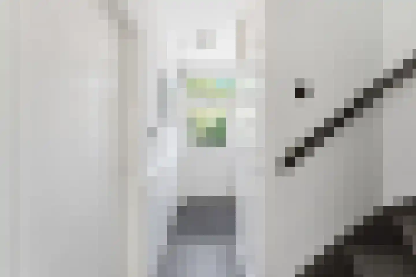 Nieuwe Vlissingseweg 310 Middelburg thumbnail 7