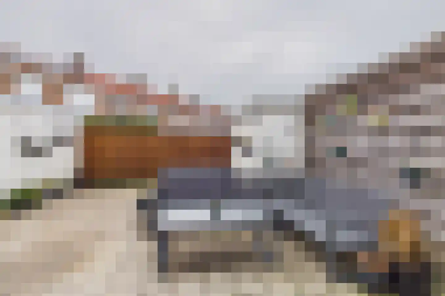 Nieuwe Vlissingseweg 334 Middelburg thumbnail 34