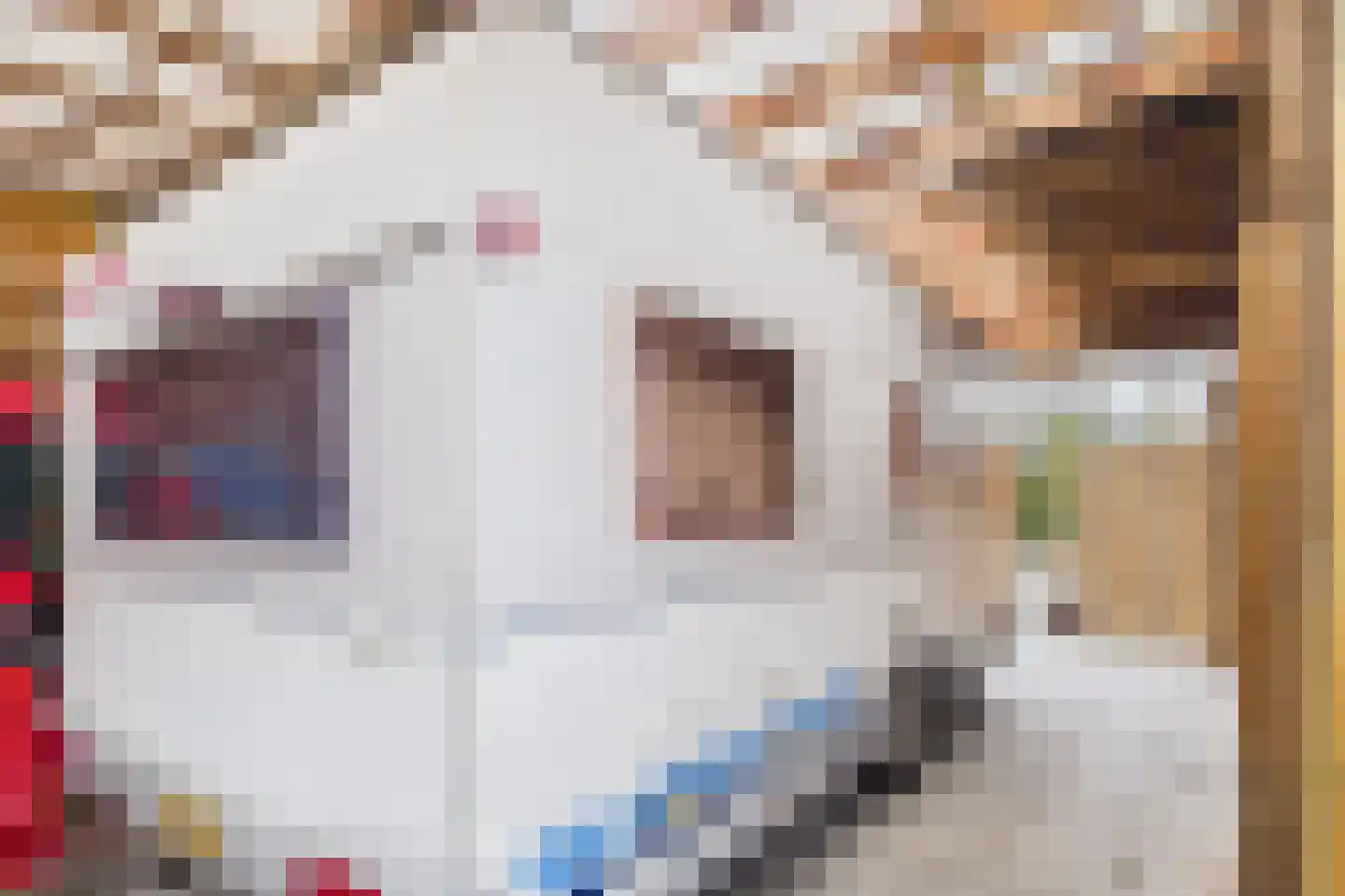 Nieuwe Vlissingseweg 334 Middelburg thumbnail 37