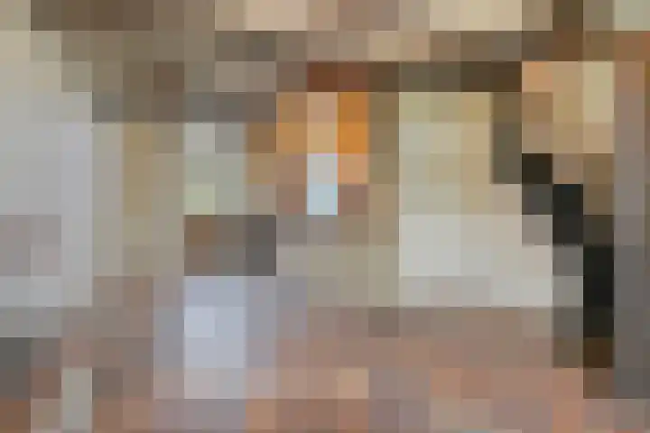 Nieuwe Vlissingseweg 378 Middelburg thumbnail 10