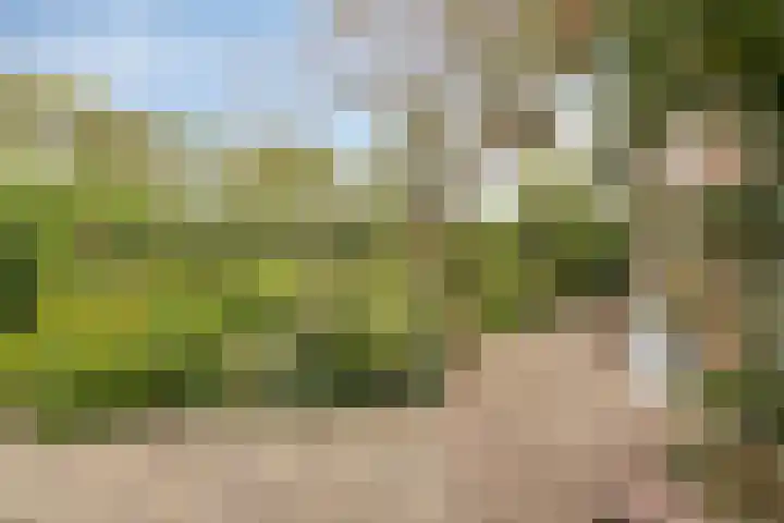 Nieuwe Vlissingseweg 378 Middelburg thumbnail 5