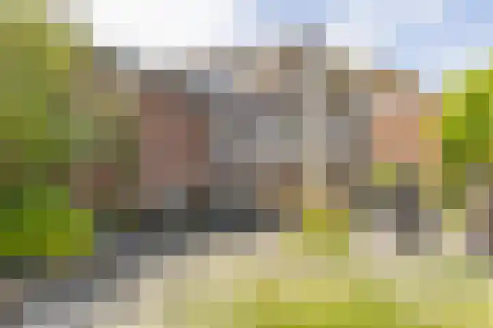 Nieuwe Vlissingseweg 53 Vlissingen thumbnail 20