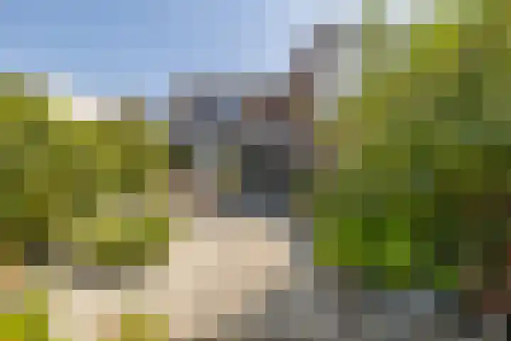 Nieuwe Vlissingseweg 53 Vlissingen thumbnail 21