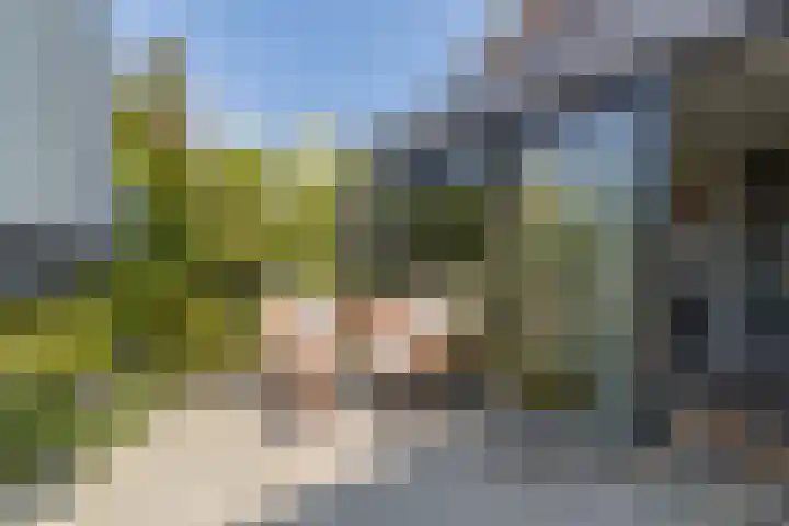 Nieuwe Vlissingseweg 53 Vlissingen thumbnail 22