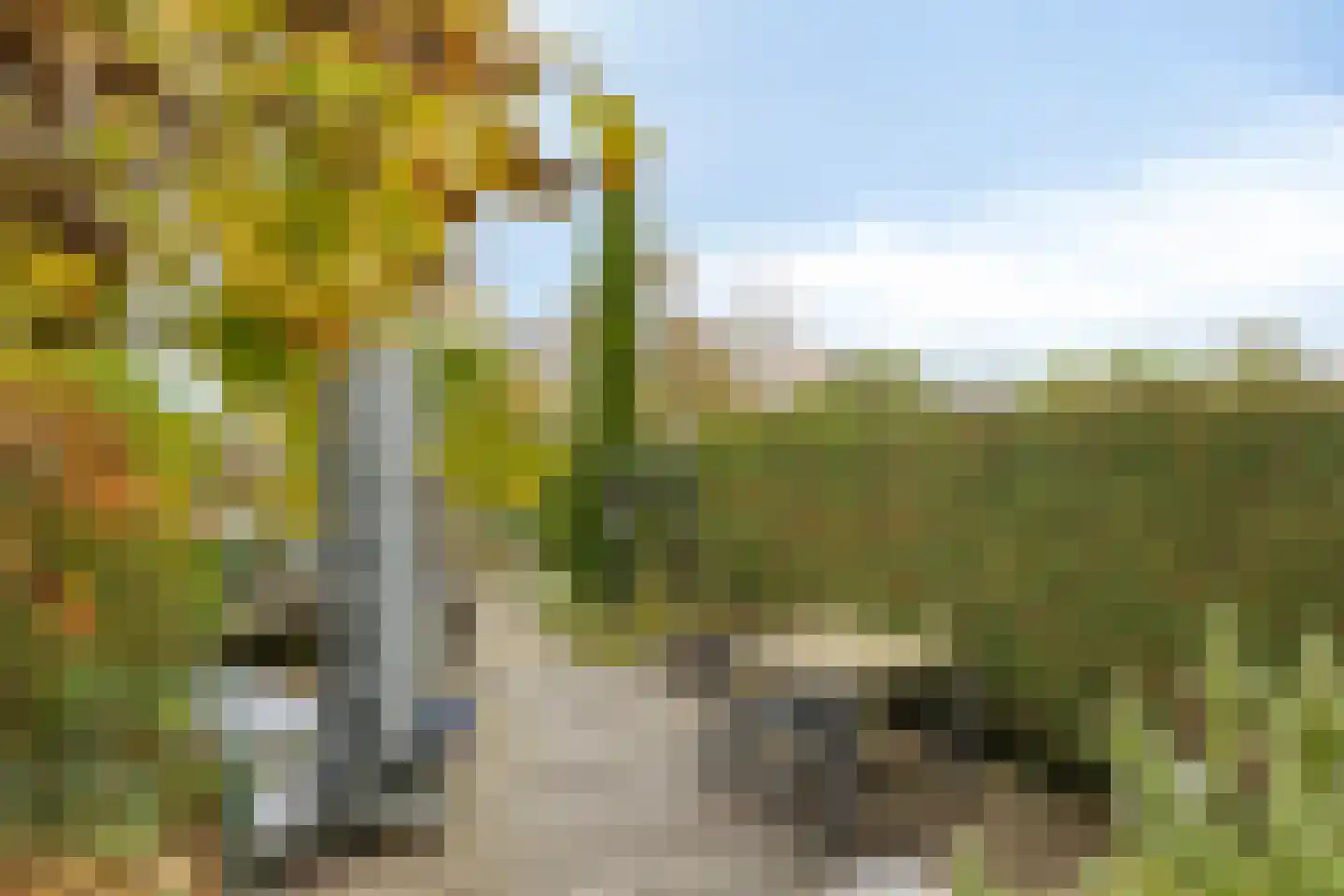 Nieuwe Vlissingseweg 624 Middelburg thumbnail 20