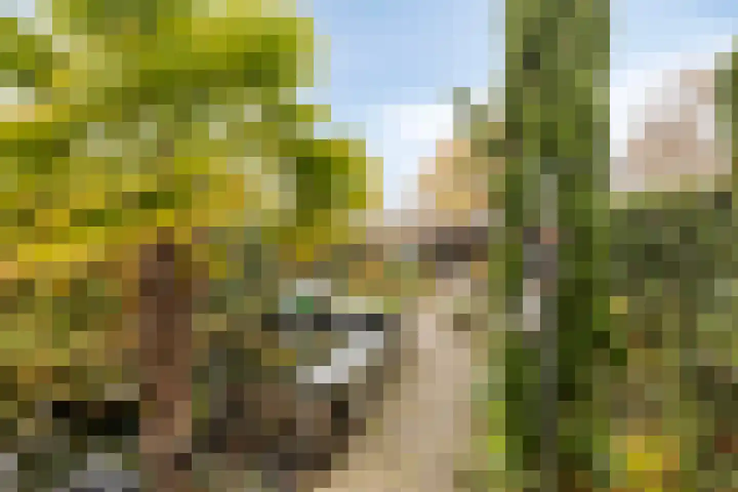 Nieuwe Vlissingseweg 624 Middelburg thumbnail 21