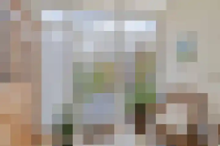 Nieuwe Vlissingseweg 626 Middelburg thumbnail 13