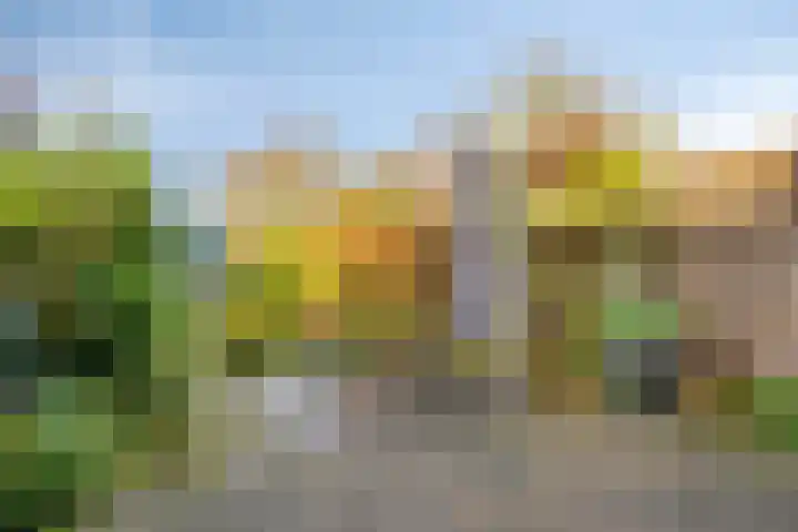 Nieuwe Vlissingseweg 626 Middelburg thumbnail 27