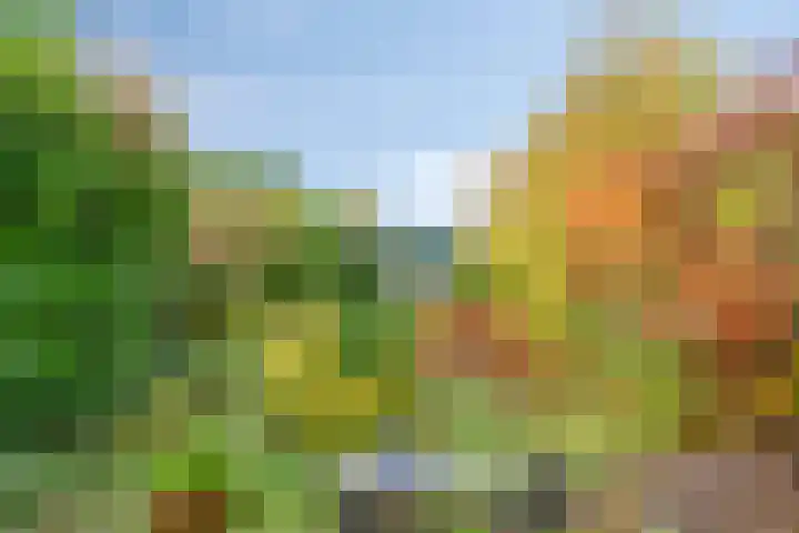 Nieuwe Vlissingseweg 626 Middelburg thumbnail 29