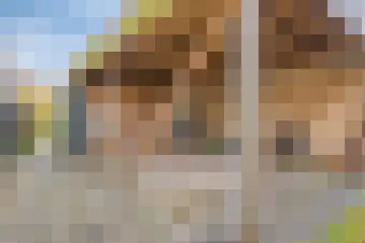 Nieuwe Vlissingseweg 626 Middelburg thumbnail 32