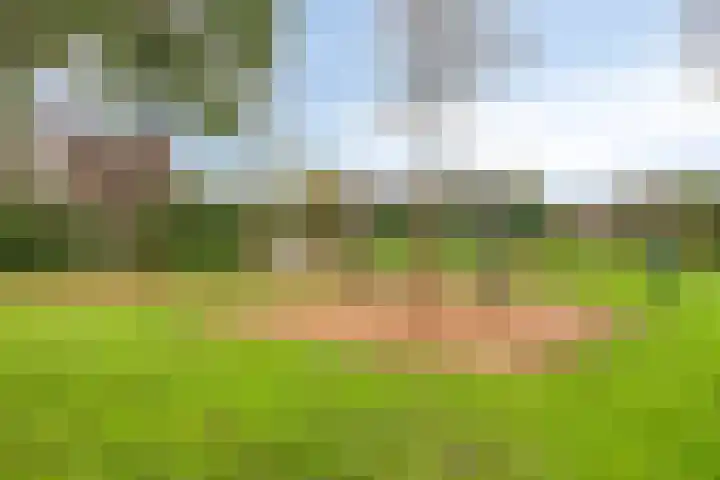 Nieuwe Vlissingseweg 626 Middelburg thumbnail 36