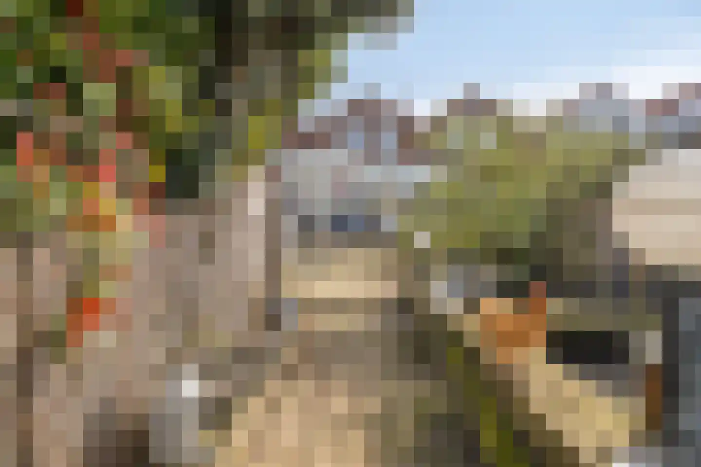 Nieuwe Vlissingseweg 640 Middelburg thumbnail 32