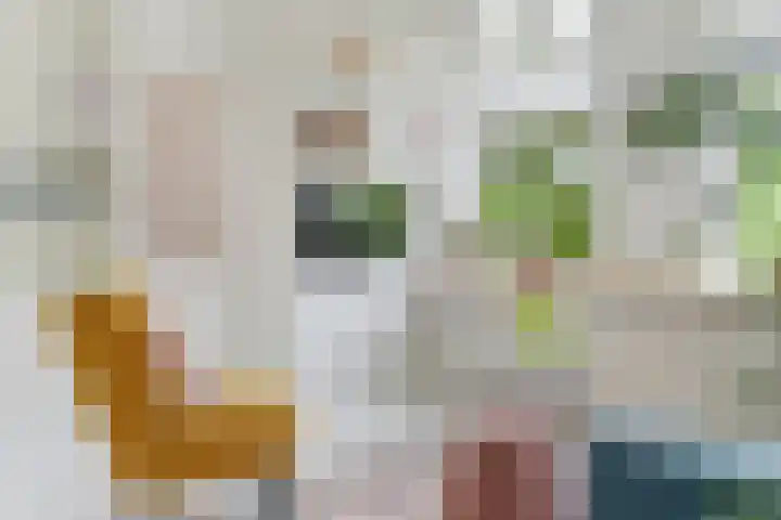 Nieuwe Vlissingseweg 678 Middelburg thumbnail 5