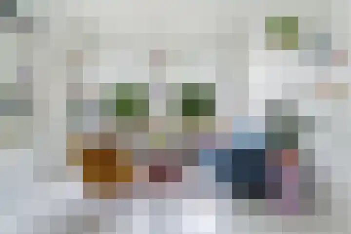 Nieuwe Vlissingseweg 678 Middelburg thumbnail 7