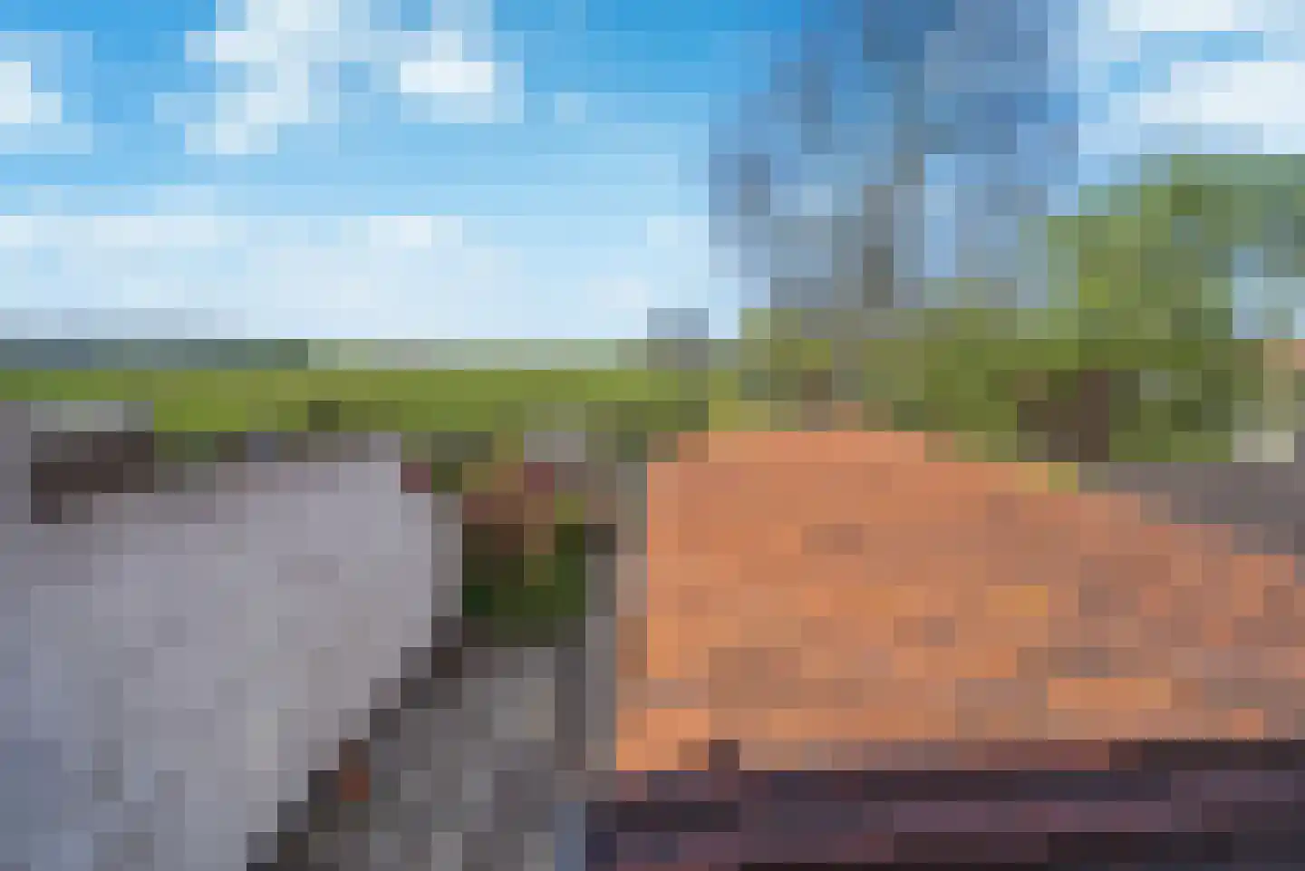Nieuwe Vlissingseweg 692 Middelburg thumbnail 4