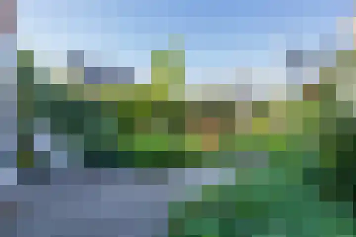 Nieuwe Voorstraat 21 Noordwijk thumbnail 11