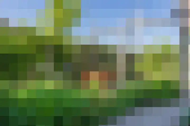 Nieuwe Voorstraat 21 Noordwijk thumbnail 12