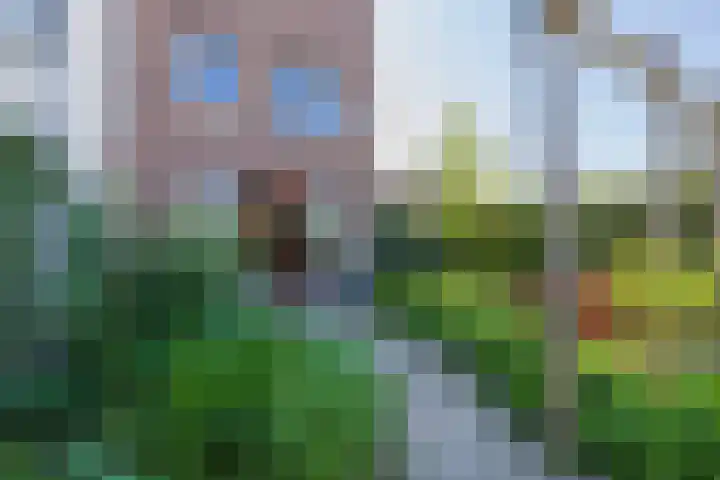 Nieuwe Voorstraat 21 Noordwijk thumbnail 14