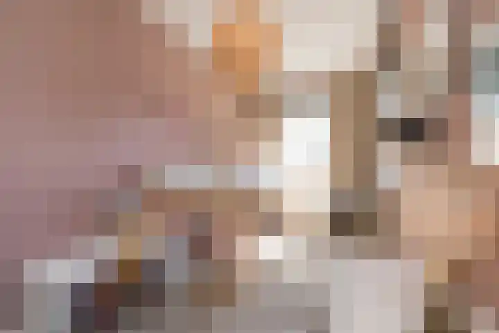 Nieuwe Voorstraat 21 Noordwijk thumbnail 26