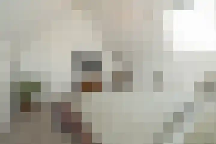Nieuwe Voorstraat 21 Noordwijk thumbnail 30
