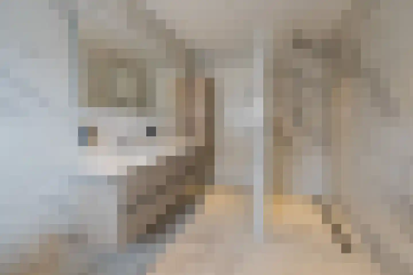 Nieuwe Voorstraat 23 Noordwijk thumbnail 25