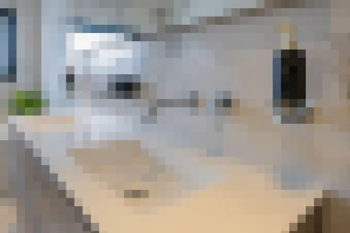 Nieuwe Voorstraat 23 Noordwijk thumbnail 26